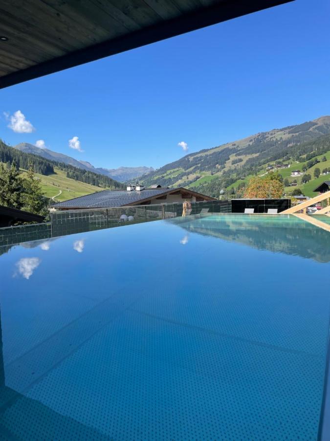 Apartment Gappmaier Saalbach-Hinterglemm